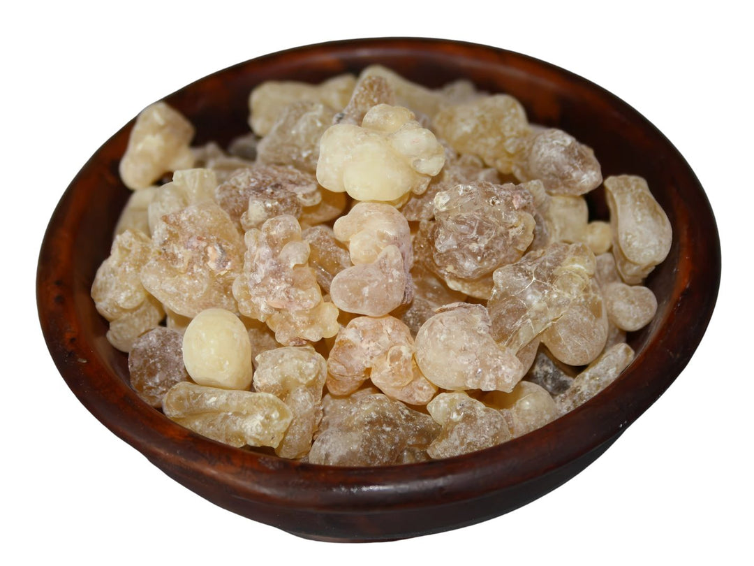 Weihrauch Somalia - Boswellia carterii