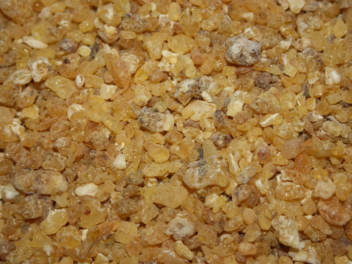 Weihrauch Somalia "Maydi"