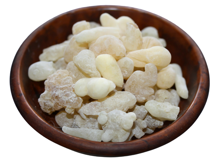 Weihrauch Oman "Hojari" weiß - Boswellia sacra