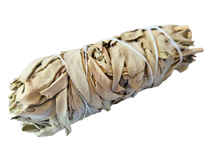 Weisser Salbei Räucherbündel - Salvia apiana