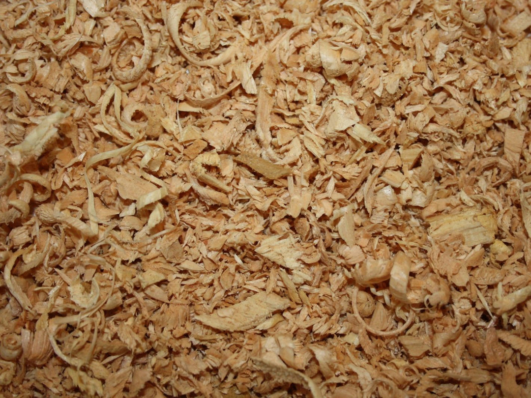 Zirbelkiefernholz - Pinus cembra