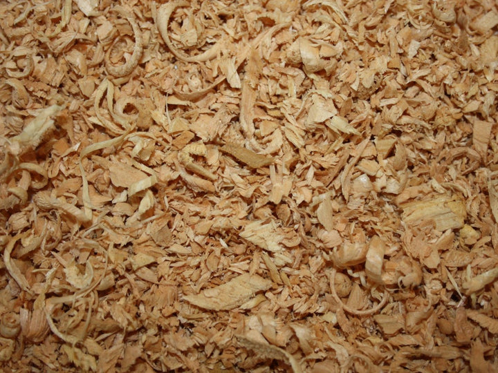 Zirbelkiefernholz - Pinus cembra