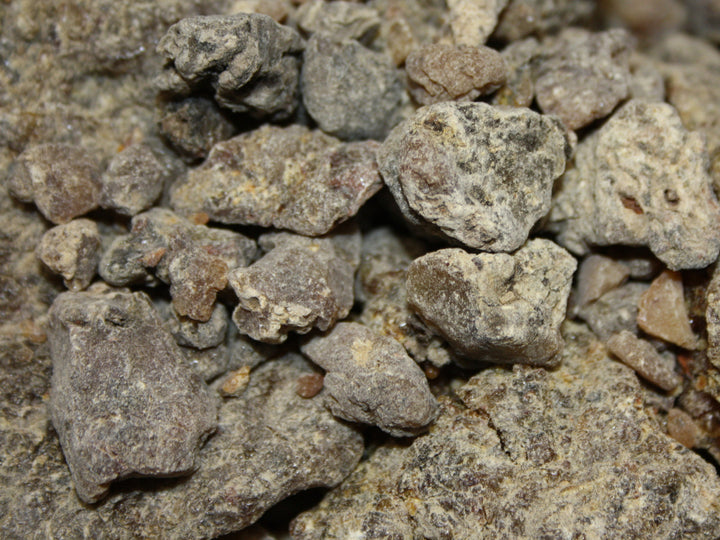 Zirbenharz sibirisch