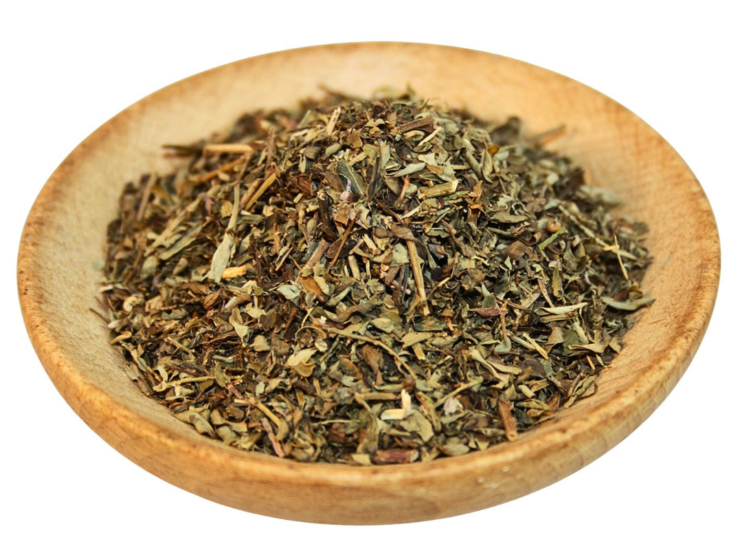 Chanca Piedra "Steinbrecher" - Phyllanthus niruri