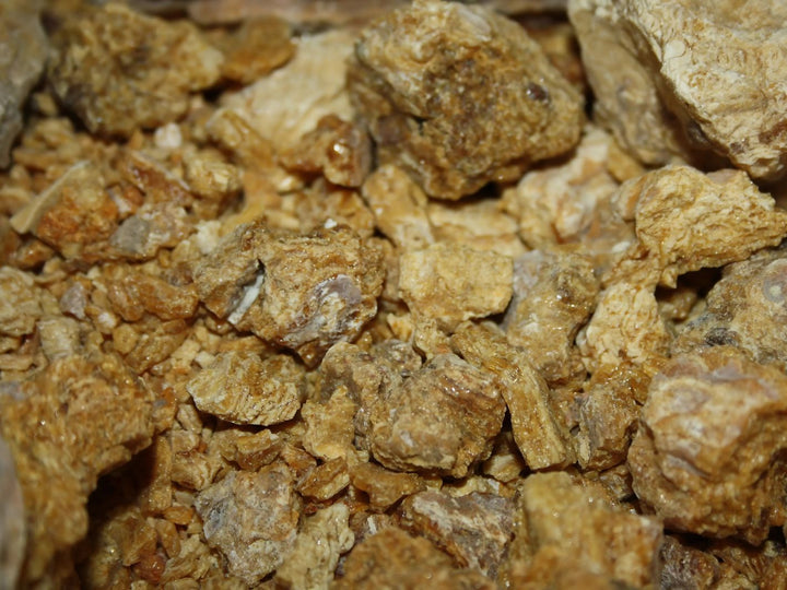 Weihrauch Himalaya "Saal" - Shorea robusta