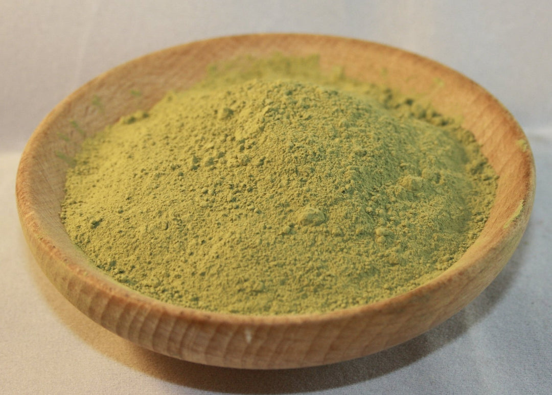 Matcha - Camellia sinensis