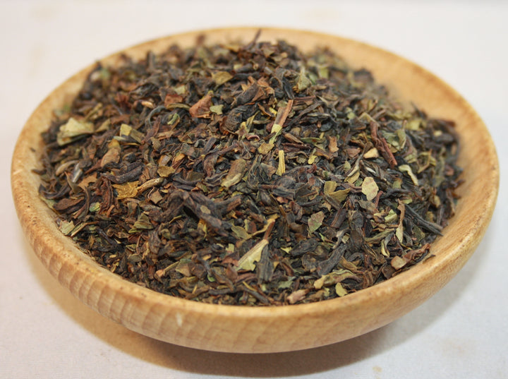 Darjeeling Schwarztee - Camellia sinensis