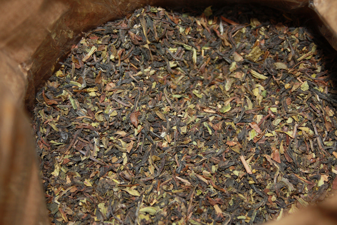 Darjeeling Schwarztee - Camellia sinensis