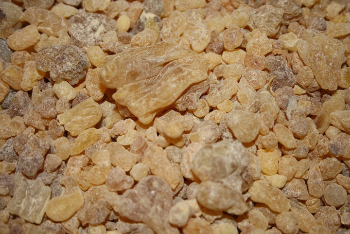 Weihrauch Somalia - Boswellia carterii