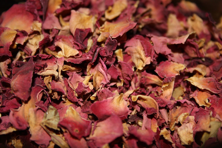 Rosenblüten - Rosa damascena