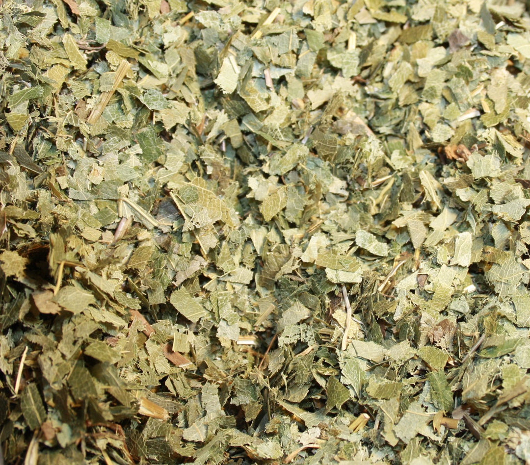 Geiles Ziegenkraut - Epimedium brevicornum