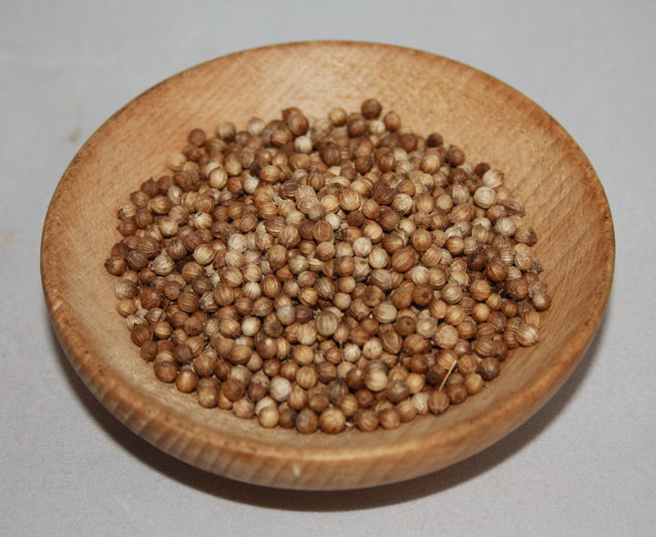 Koriander - Coriandrum sativum