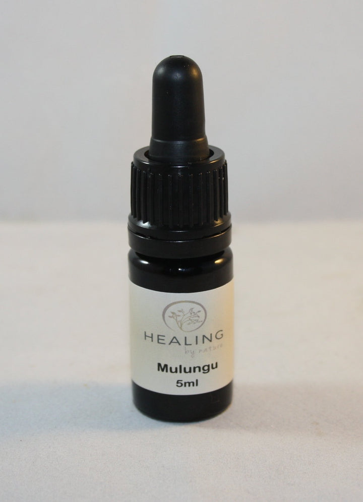 Mulungu Alkoholextrakt 5ml - Erythrina mulungu