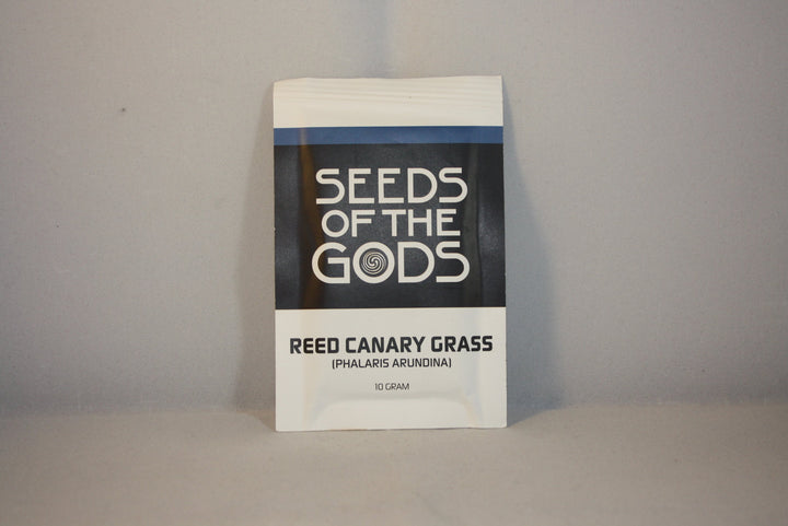 Phalarisgras - Phalaris arundinacea 10g